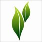 Savaliya Agri Commodity Export Pvt. Ltd. Company Logo