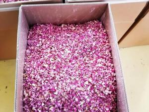 Wholesale dried: Dried Damask Rose Petals