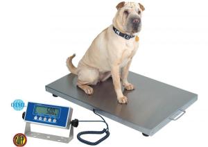 Wholesale button cell: Veterinary Scale