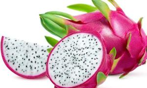 Wholesale origin thailand: Fresh Dragon Fruit From Vietnam - High Quality, Stable Supply, Competitive Price (HuuNghi Fruit)