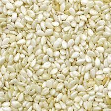 Wholesale sesame seed: White Sesame Seeds