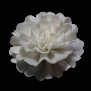 Wholesale handmade flower: Handmade  Scent Diffuser Sola Paper Flower