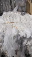 LDPE Films Bale, LDPE Film Roll Scrap, LDPE Clear Film for Sale, LDPE Film Scrap Sale