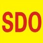China SDO Auto Parts Co.,Ltd. Company Logo