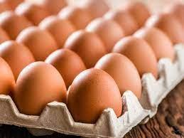 Wholesale fresh: Fresh White and Brown Eggs