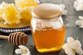 Wholesale plant food: Fresh Honey for Sale