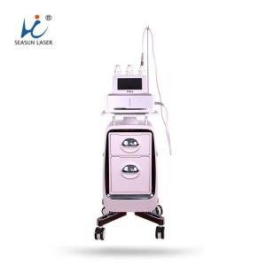 Wholesale beauty tools: Diode Laser Facelifting Beauty Tool  Fisul V11