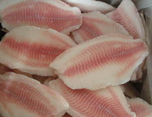 Wholesale whole frozen fish: Frozen Tilapia Fillets