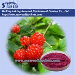 Wholesale Health Food: Raspberry Extract
