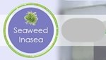 Seaweed Inasea Company Logo