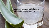 Sell Fresh Aloe Vera Fruit/Juice/Drink