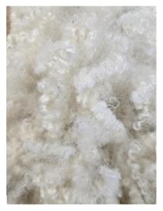 Wholesale staples: Polyester Staple Fiber Creamy White