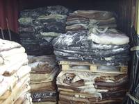 Sell QUALITY WET SALTED ANIMAL HIDES
