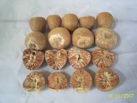 Sell BETEL NUTS