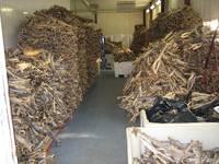 Sell Quality Grade A Dried StockFish