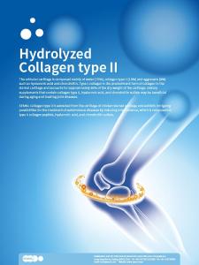 Wholesale type ii collagen: Hydrolyzed Collagen Type II