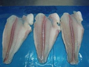 Wholesale pangasius: Well Trimmed Pangasius Fillet (Fish Fillet)
