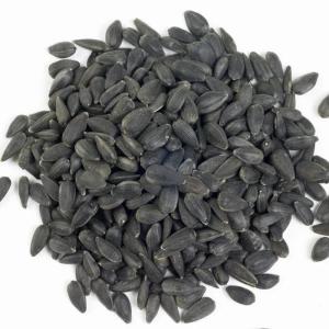 Wholesale fat removement: Black Sunflower Seed