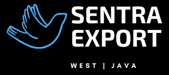 Sentra Export Company Logo