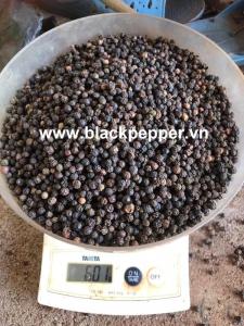Wholesale one grade: Best Quality Pepper