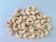 Sell Process Cashew Nuts Kernel