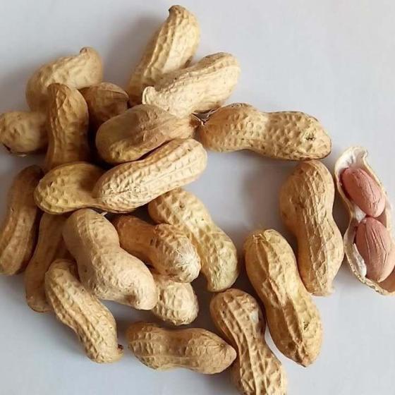 Sell Raw Peanut