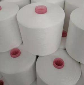 Wholesale garment bag: Polyester Spun Yarn 40s/2,42s/2