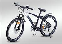 Sell mountain bike/electric bike/electric bicycle with EN15194