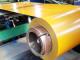 Sell Various Steel Coil