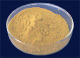 Wholesale silybum marianum: Milk Thistle Extract 80%