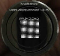 2D Optic Fiber Array