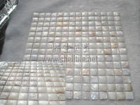 3D Convex Freshwater Shell Mosaic