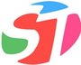 Dezhou Shengtong Rubber & Plastic Co., Ltd. Company Logo