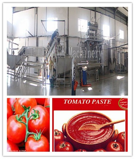 Tomato Paste Production Line(GFM-TPL)(id:4368359). Buy China Tomato ...