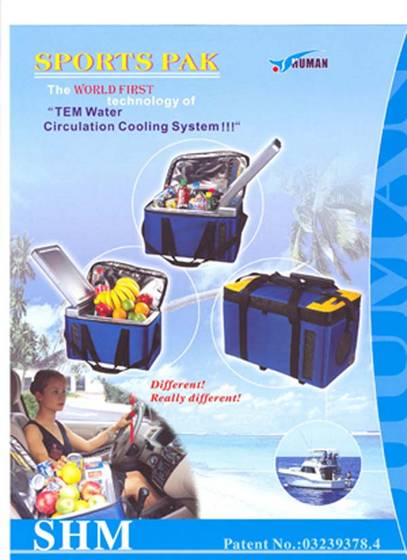 Portable car 2024 cooling system