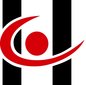 Hongyu Power Tools Co., Ltd. Company Logo
