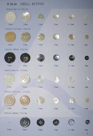 Shell Button