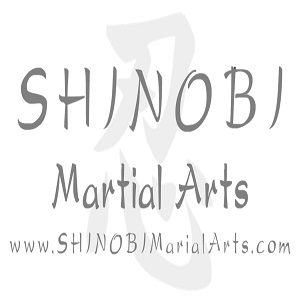 Shinobi Martial Arts Company Logo