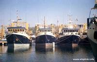 Boom Trawler - 3 Ships - Ship for Sale
