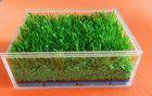 Customized Synthetic Grass Rubber Infill For Artificial Turf ...