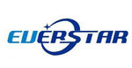 Everstar Group Co., Ltd Company Logo