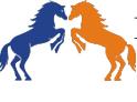 Anping Dual-Horse Animal by Products Factory Company Logo
