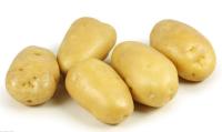 Sell  New crop Fresh potato/cheap potato/high quality potato