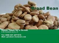 Sell  Broad beans