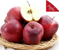 Sell new  crop   Huaniu Apple 