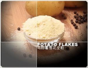 Wholesale potato granule: Instant Potato Flakes,Mashed Potato Flakes,Potato Granule