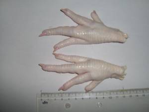 Wholesale chicken wing: Frozen Halal Chicken Paws for Sale.