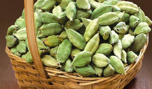 Wholesale Spices & Herbs: Green Cardamoms / Green Cardamom Spices