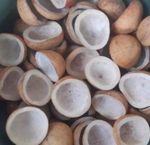 Wholesale packaging: Dried Copra, Dry Coconut Copra, Sun Dried Half Cut Coconut