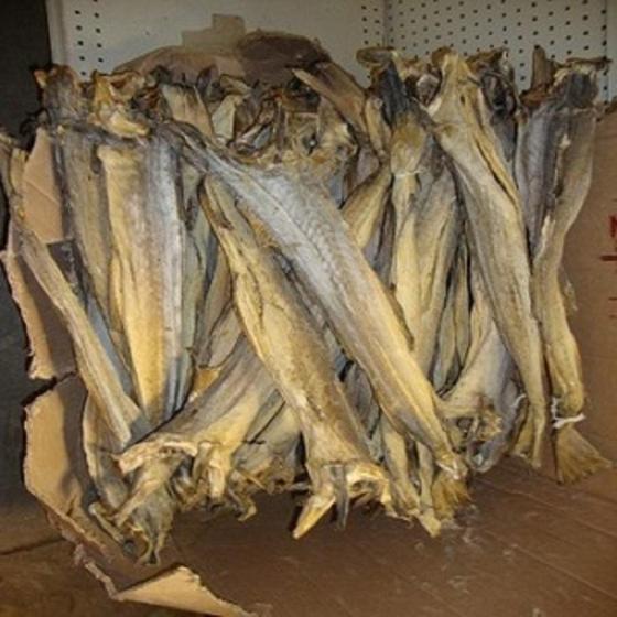 Sell Dry stockfish, Stock fish heads and catfish